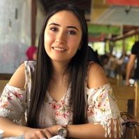 gazi university academia edu