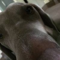 Photo of Denielle Elliott