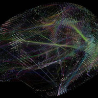 Daniel Margulies | Max Planck Institute for Human Cognitive and Brain ...