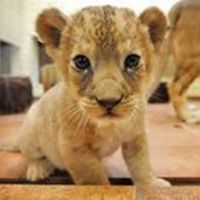 Photo of Trạm Ép Giấy