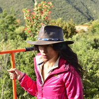 Amalia Nuevo Delaunay