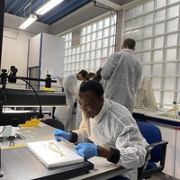 Photo of Toheeb Lekan Jolaosho