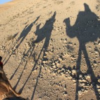 Hannah Russell - Queen's University Belfast