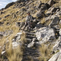 Photo of Daniel Contreras