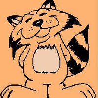 Maria Assunção Gato