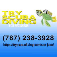 Academia profile picture for @Diving