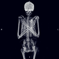 Photo of Gabriela Gonzalez