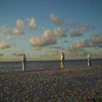 raúl rodríguez freire