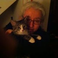 Janet Gyatso related author profile picture