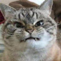 Academia profile picture for @Grumpy