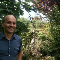 Zsolt Pinke related author profile picture