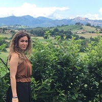 Francesca Andrei - Università degli Studi 