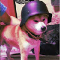 Academia profile picture for @xav