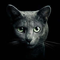 Academia profile picture for @Reverend