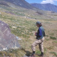 PDF) Rock Art Chronicles of the Golden Steppe: from Karatau to