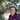 Profile image of Sophia Germanidou