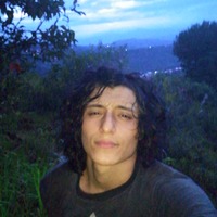 Carlos Andres Ortiz Bravo - Independent Researcher