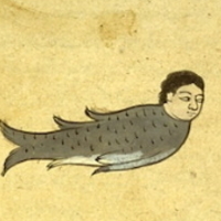 Clemens Driessen related author profile picture