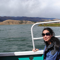 Carol Rojas Vega - Independent Researcher