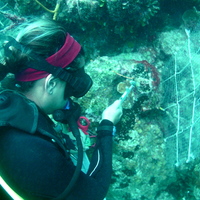 Photo of Renata Ferrari Legorreta