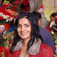 PDF) Mediating Rape: The Nirbhaya Effect in the Creative and ...