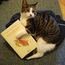 Author Photo