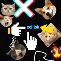 Academia profile picture for @zcilok