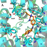 PDF) Computational Approaches for Drug Discovery