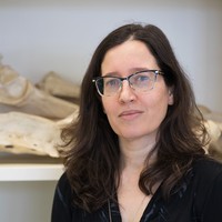 Photo of Lidar Sapir-Hen