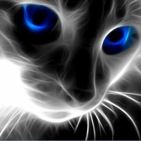 Academia profile picture for @LeopardS