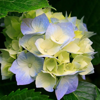 Elyor Saitov related author profile picture