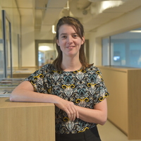Laurike in 't Veld related author profile picture