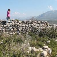 Photo of Chelsea A. M. Gardner