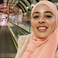 Selmi Rafaa Safa Selmi - Independent Researcher