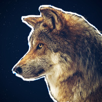 Academia profile picture for @TheMatic