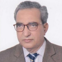 Prof. S.M. Imamul Haque - Independent Researcher