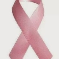 PDF) Bibliotheca Sapientiae - M. Cristina De Rigo