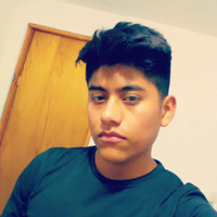 Academia profile picture for @LuisRoch1