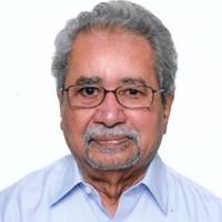 Sreeramula Rajeswara Sarma related author profile picture
