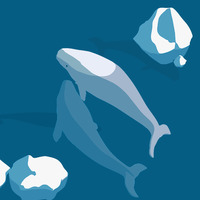 Academia profile picture for @Fisheries
