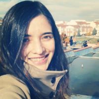 Sinem Calikusu Academia Edu
