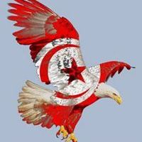 Academia profile picture for @TunIsien