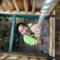 Academia profile picture for @SAung