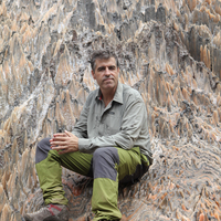 Francisco  Gutierrez related author profile picture