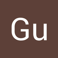 Academia profile picture for @TheGu