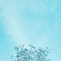 Academia profile picture for @Pleasing