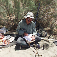 Үлкен мүшесі порно жинағы