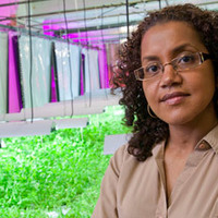 Iit graduate admissions image