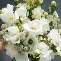 PDF) Over the footprints of Italian mycology with emphasis on