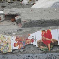 solveig meister related author profile picture